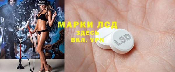 твердый Арсеньев