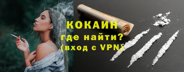 твердый Арсеньев