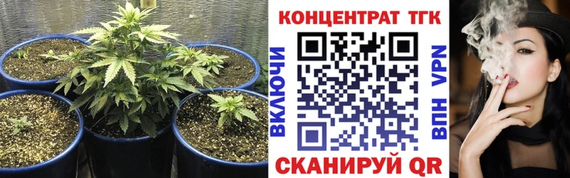 Купить закладки  Курск  ТГК вейп 