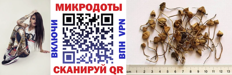 Псилоцибиновые грибы MAGIC MUSHROOMS  Купить где  Курск 